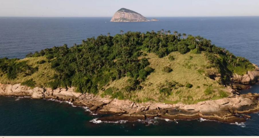 A rica flora das Ilhas Cagarras, em frente à Praia de Ipanema, acaba de ganhar um registro científico e cultural. O Jardim Botânico do Rio lançou o guia ilustrado “Mona Cagarras”, destacando as espécies mais emblemáticas do arquipélago. A área é protegida desde 2010 como Monumento Natural, sob gestão do ICMBio.
