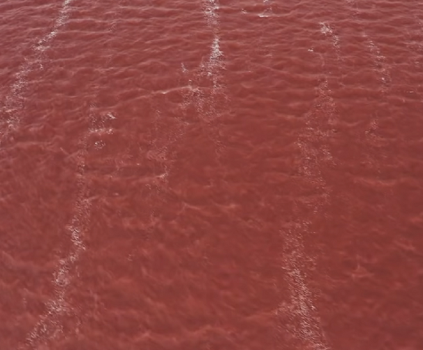 Porém, essa não é a única peculiaridade do Burlinskoe. O lugar tem uma concentração de sal que supera a do Mar Morto, localizado em Israel, ultrapassando os 200 g por litro, o que impede que qualquer objeto afunde em suas águas. 