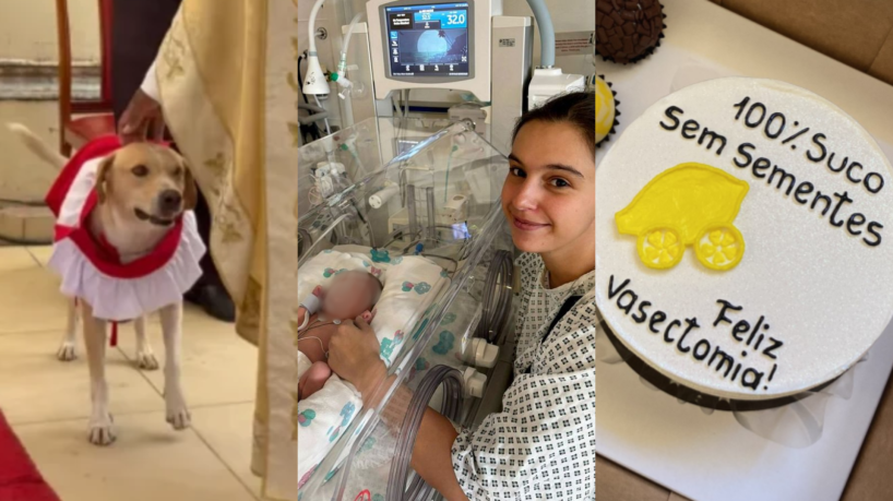 Confira as notícias mais curiosas e inusitadas do ...