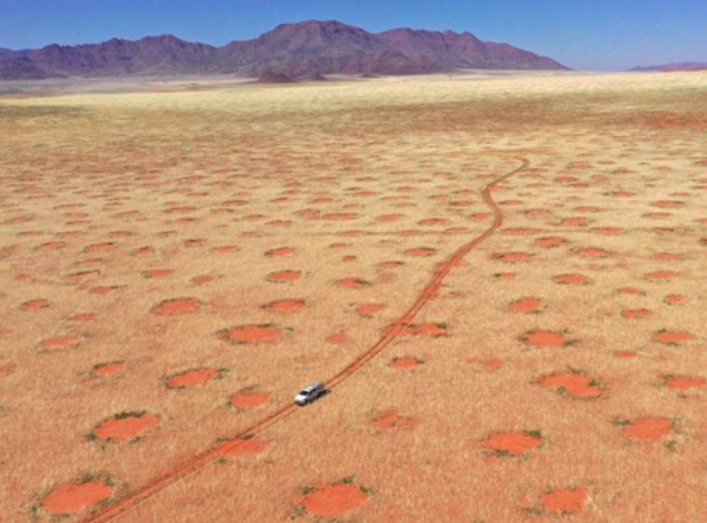 Segundo o Instituto Multidisciplinar de Estudos Ambientais da Universidade de Alicante, na Espanha, essa foi a primeira vez que foram utilizados modelos de Inteligência Artificial em larga escala para analisar imagens de satélite e identificar padrões parecidos com os círculos de fadas.