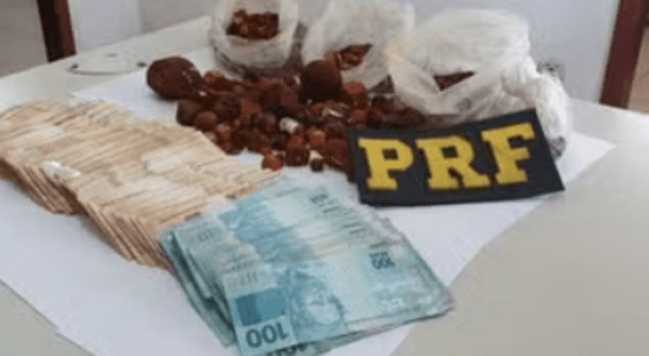 Bandidos que sabem disso planejam ações para roubar as tais pedras. Foi o que ocorreu, por exemplo, em setembro de 2023, quando criminosos renderam funcionários de uma empresa de exportação de pedras de boi em Barretos (SP) e levaram o produto, avaliado em R$ 2 milhões.