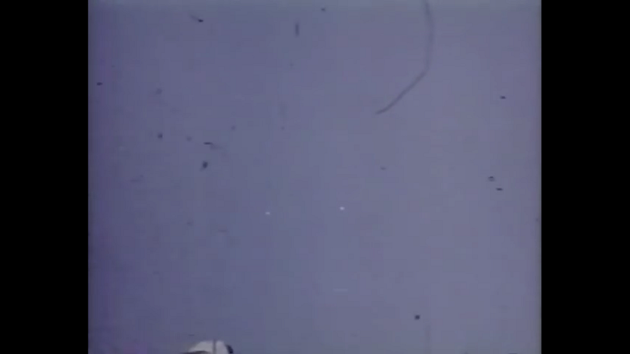 Mas o caso de Varginha não foi o único envolvendo supostas aparições estranhas no Brasil.