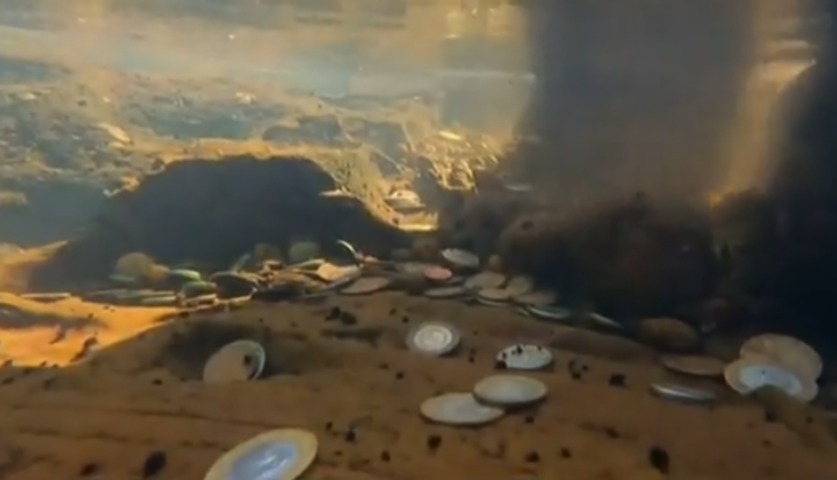 Curiosamente, pessoas costumam jogar moedas nas catararas e de tempos em tempos bombeiros fazem uma retirada. Em junho de 2023, 158 quilos de moedas foram recolhidos nas águas, em áreas rasas. 