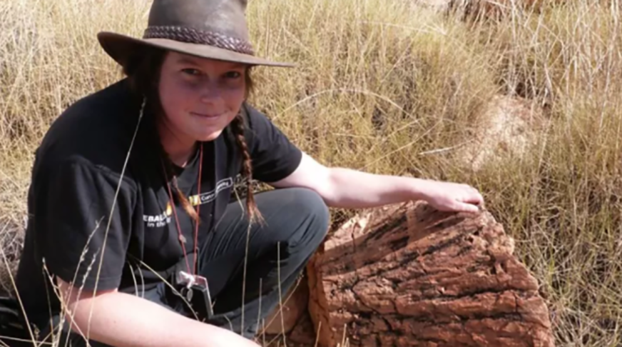 O mineral reidite foi descoberto na Cratera de Woodleigh, na Austrália, pela estudante Morgan Fox, da Escola de Geologia e Ciências Planetárias da Universidade de Curtin. A BBC divulgou a notícia na época. 