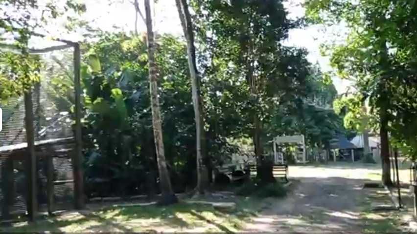 A sacola foi largada em frente ao Parque Zoobotânico de Marabá, um espaço criado em 1997 com 15 recintos para espécies, no km 9 da rodovia BR 155.