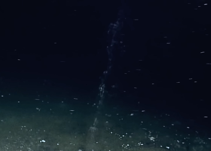 <p>Os peixes que vivem nas profundezas do oceano, conhecidos como peixes abissais ou de águas profundas, habitam um dos ambientes mais extremos e menos explorados da Terra.</p>
