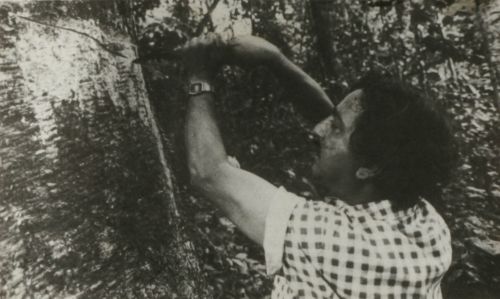 Chico Mendes, líder dos seringueiros em Xapuri, no Acre(Foto: )