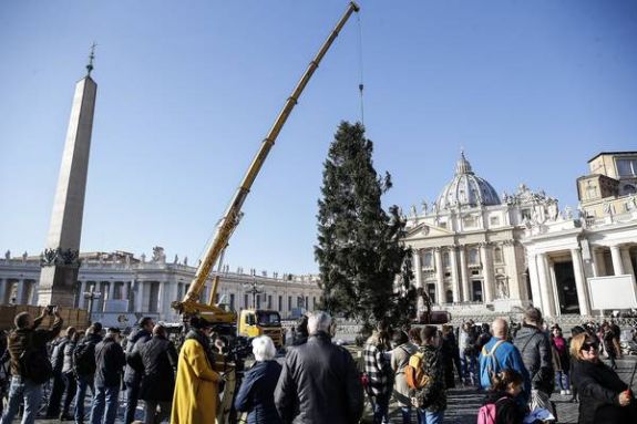 Vaticano começa a montar árvore e presépio de Natal