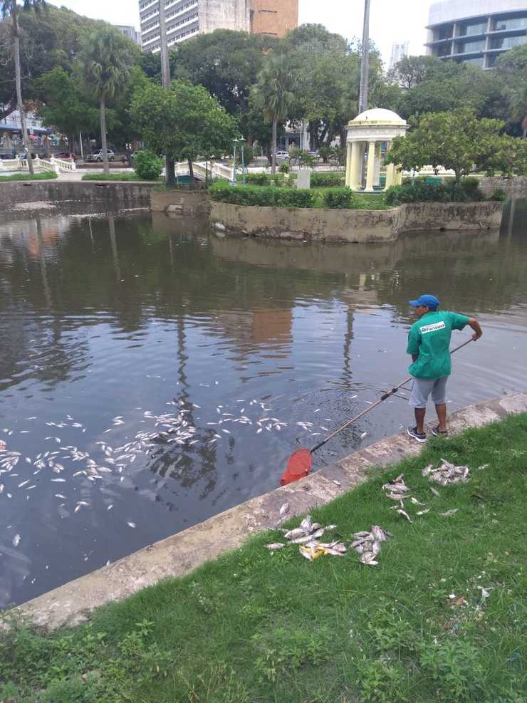 Funcionário retirando os peixes mortos da água 